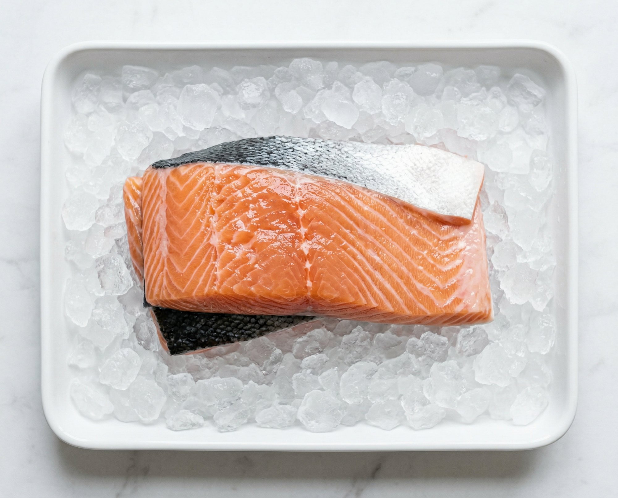 Salmon